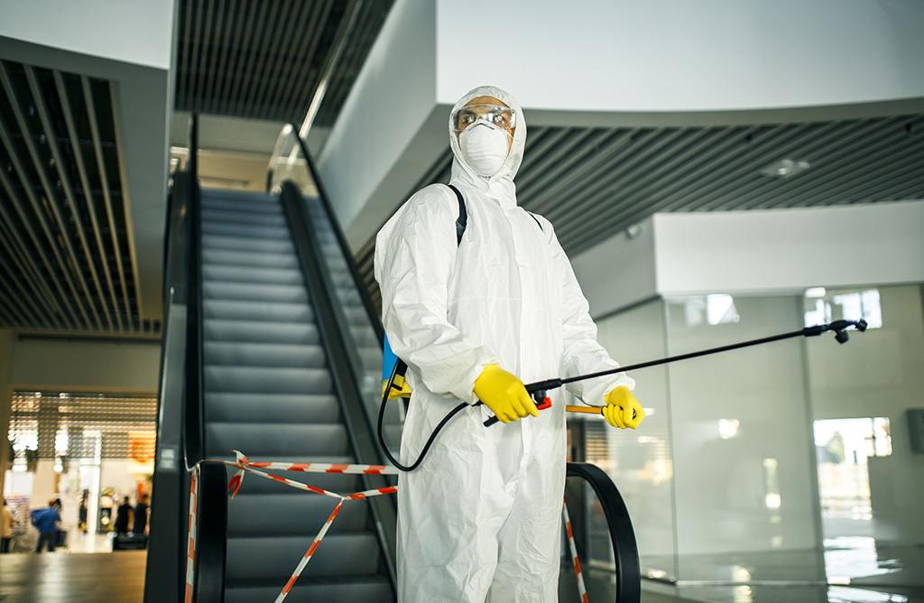 Saray Haşere İlaçlama